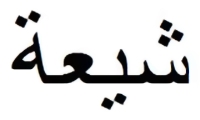 علماء يحاضرون حول المد الشيعي في موريتانيا 