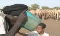 جفاف في موريتانيا يهدد التنمية الحيوانية والزراعية — فيديو 