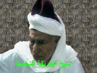 شيخ الطريقة التجانية يزور موريتانيا قريبا 