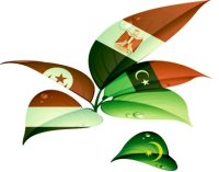 «الربيع العربي» يجافي موريتانيا 