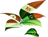 موريتانيا تلبس ثوب «مهرجانات الرحيل» و«تظاهرات البقاء»