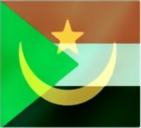 ملامح من العلاقات الثقافية والدينية بين السودان وبلاد شنقيط 