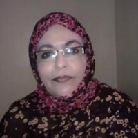 الربيع الموريتاني 