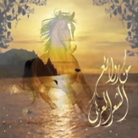 موريتانيا تحتفل بـ"اليوم العالمي للشعر" للمرة الأولى